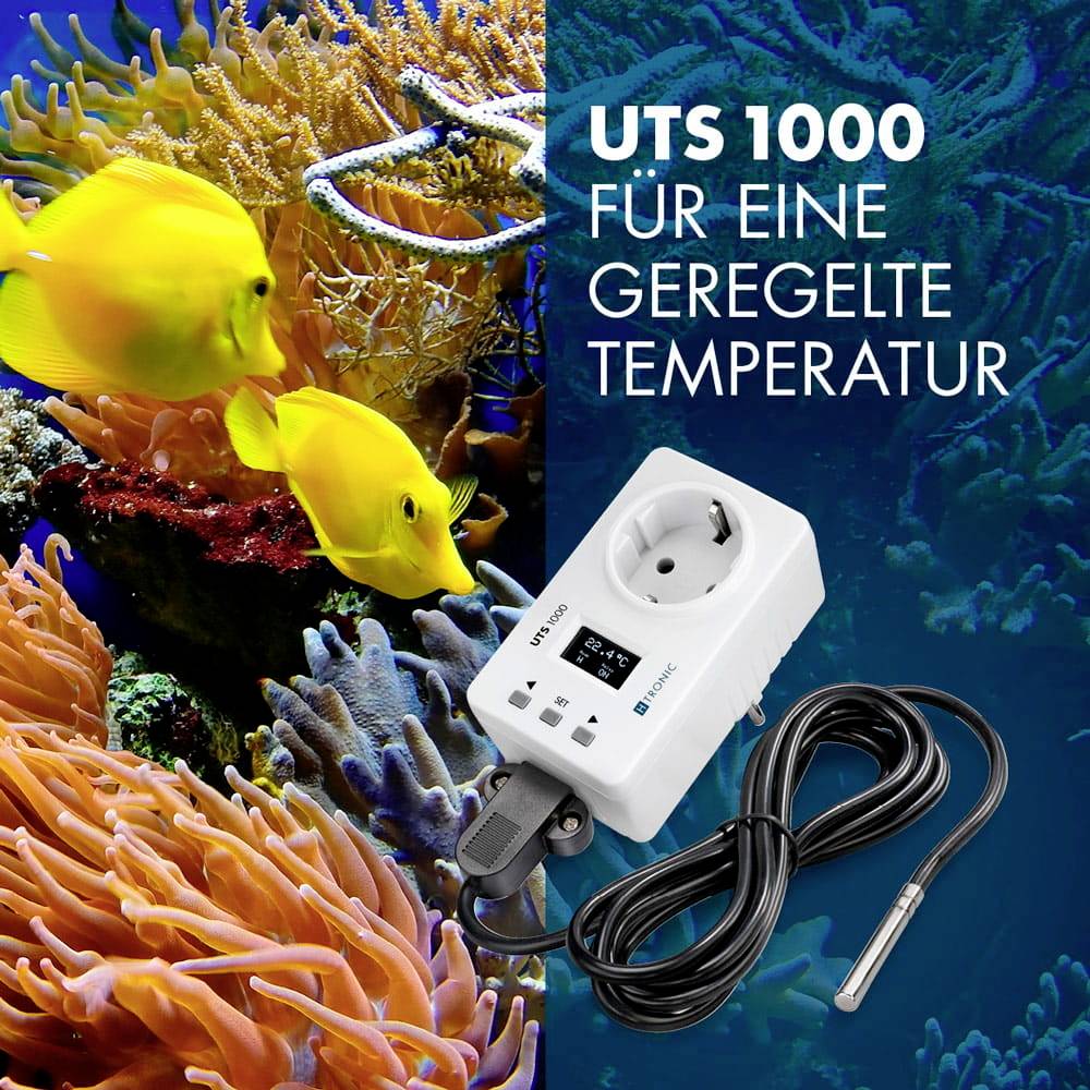 H-Tronic UTS1000 Thermo-interrupteur -99 - 850 °C