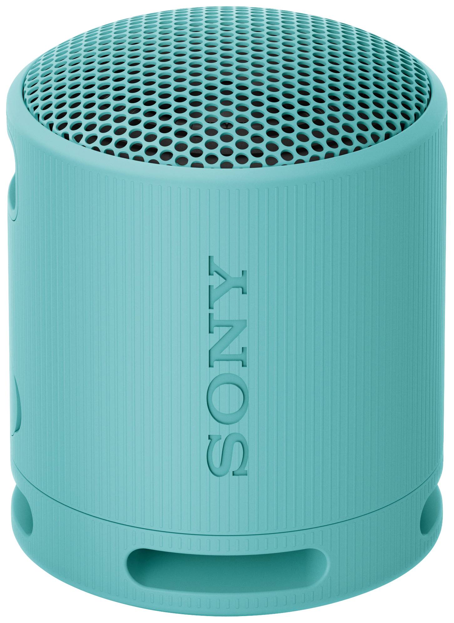 Sony SRSXB100L.CE7 Enceinte Bluetooth fonction mains libres, protégée contre les projections d'eau bleu