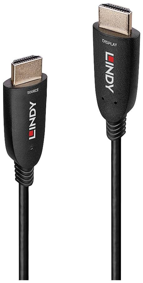 Câble HDMI portant l'étiquette 'LINDY' ; une fiche est marquée 'SOURCE', l'autre 'DISPLAY'.