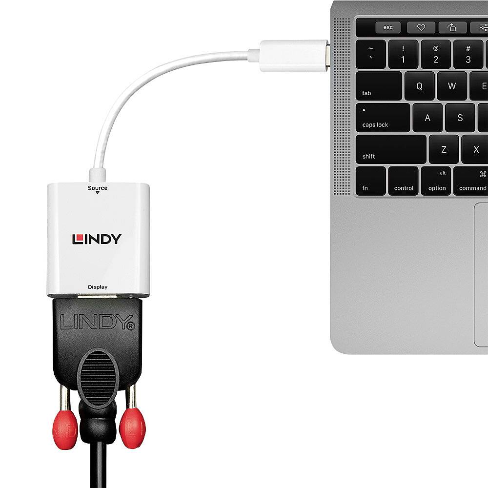 LINDY 38317 Mini-Display / VGA Convertisseur [1x Mini DisplayPort - 1x VGA] blanc 0.16 m