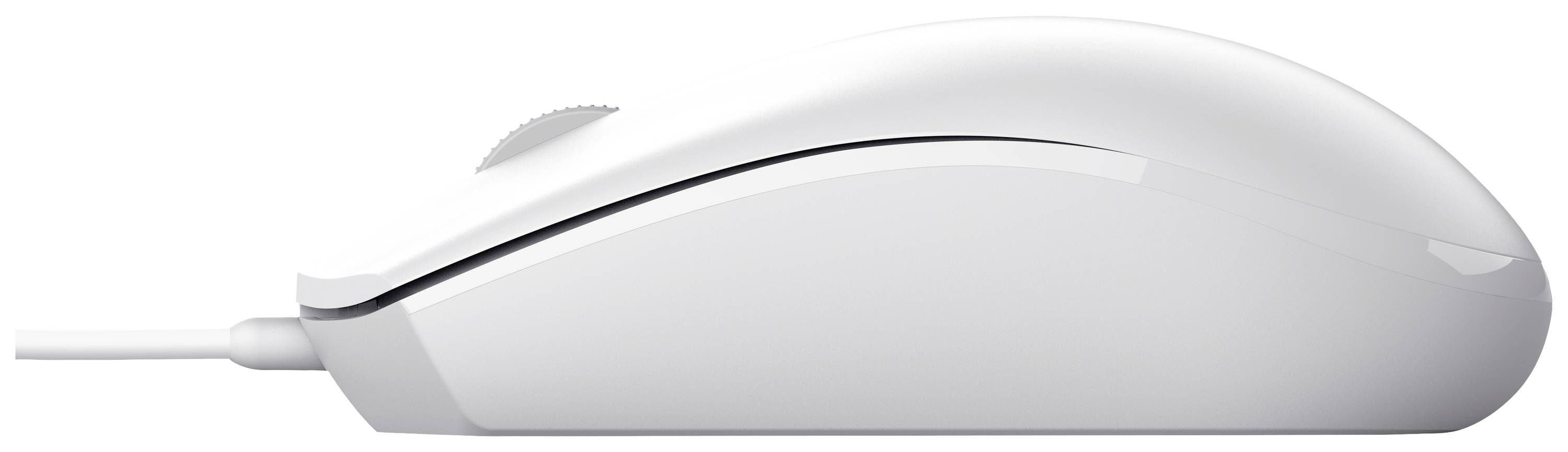 Trust TM-101W Souris USB optique blanc 3 Boutons 1200 dpi molette intégrée