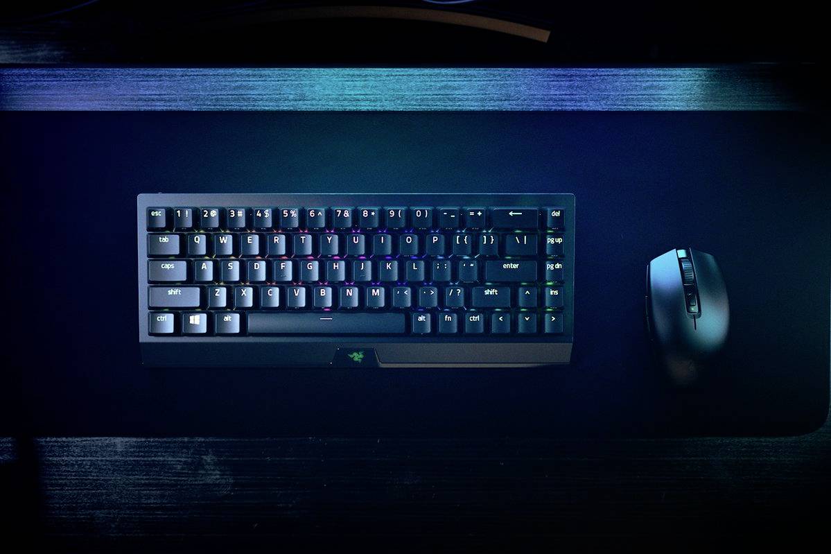 RAZER BlackWidow V3 Mini HyperSpeed Bluetooth, radio, filaire Clavier de gaming allemand, QWERTZ noir câble amovible, éclairé