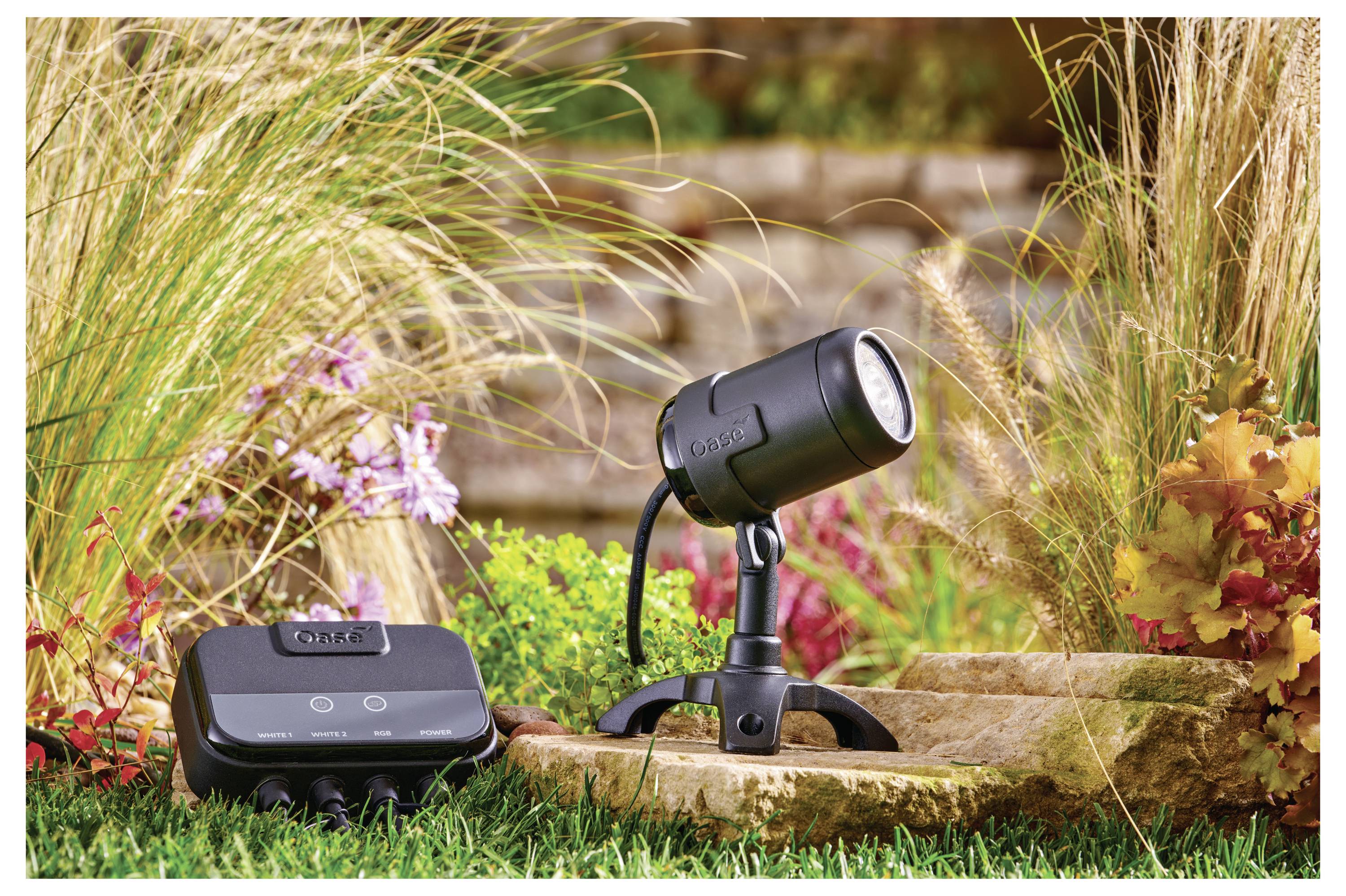 Projecteur extérieur et boîtier de commande parmi des herbes décoratives et des plantes dans un jardin, mettant en valeur les caractéristiques de l'éclairage paysager.