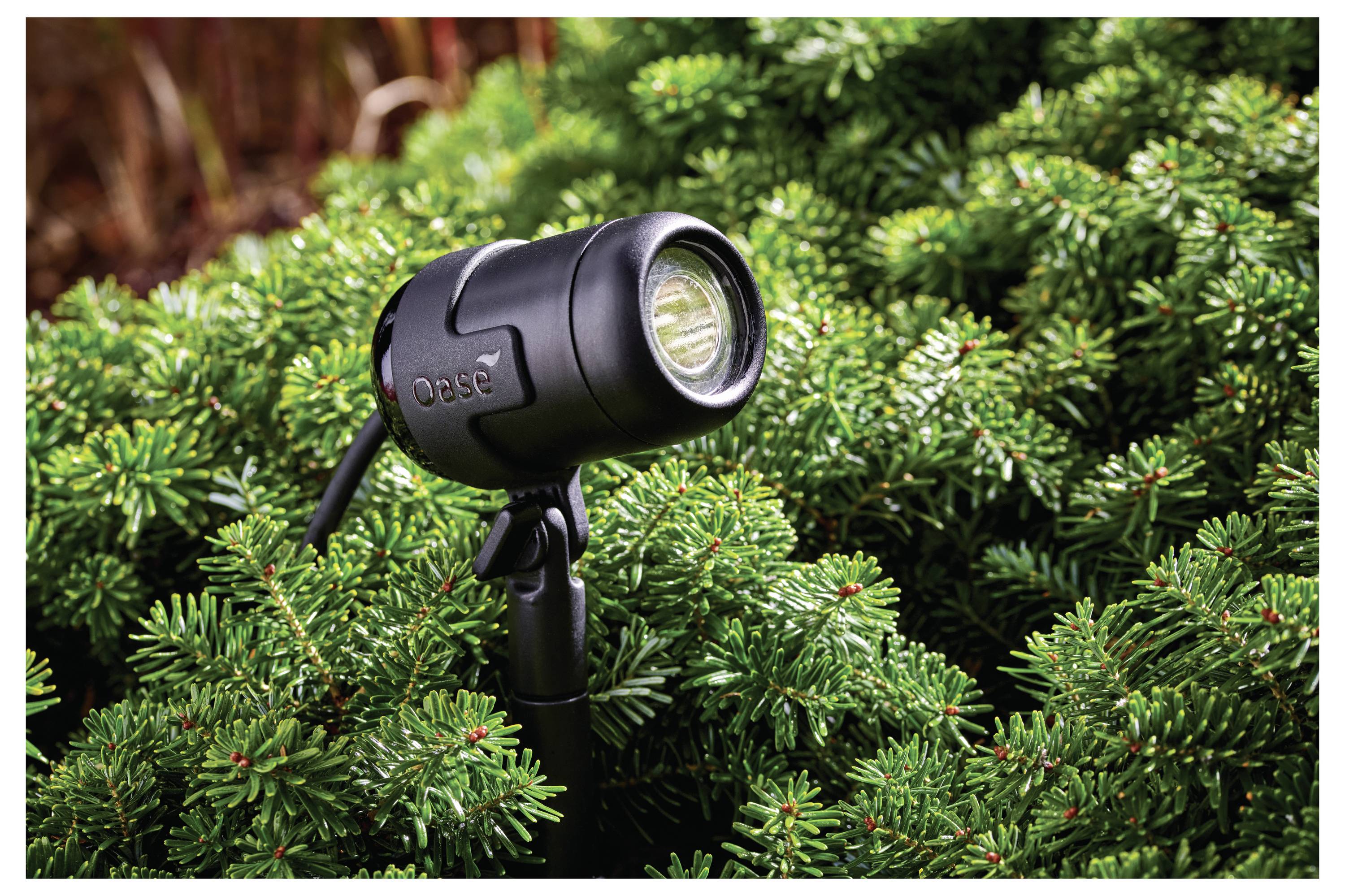 Un projecteur noir extérieur monté sur une tige, illuminant un buisson vert luxuriant aux feuillages denses.