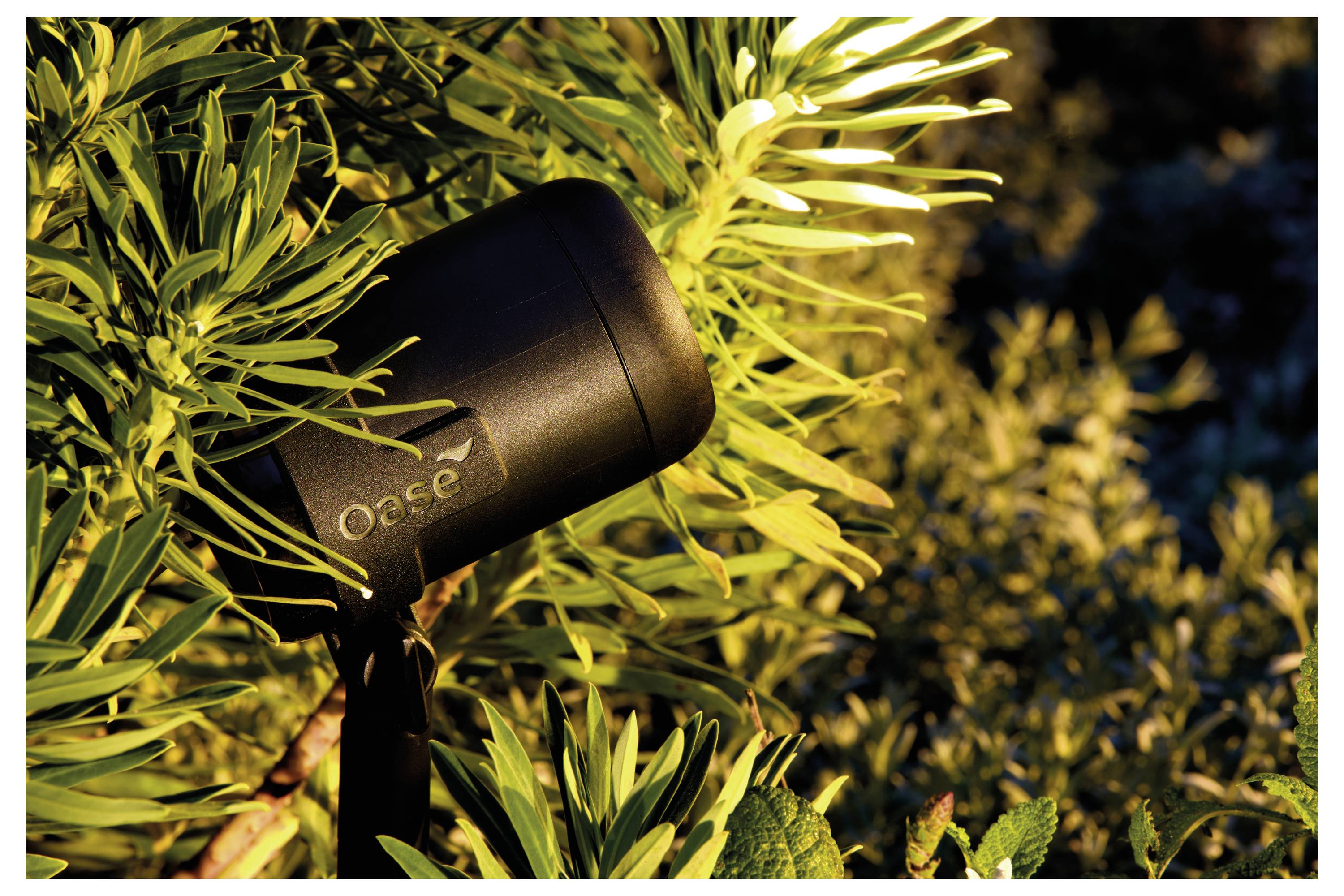 Projecteur extérieur partiellement dissimulé par le feuillage, illuminant les feuilles d'une lumière chaleureuse.