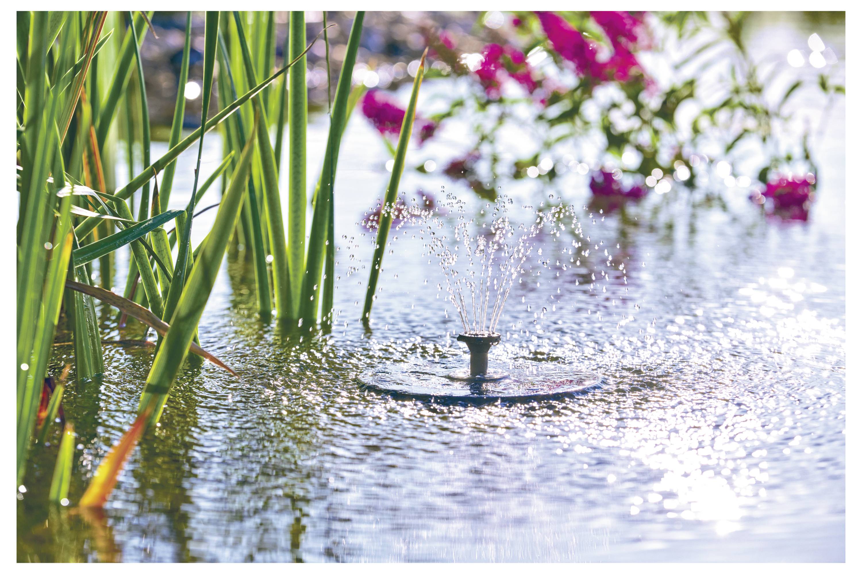 Une petite fontaine diffuse de l'eau dans un étang entouré de grandes plantes vertes et de fleurs roses éclatantes, créant une scène de jardin sereine.