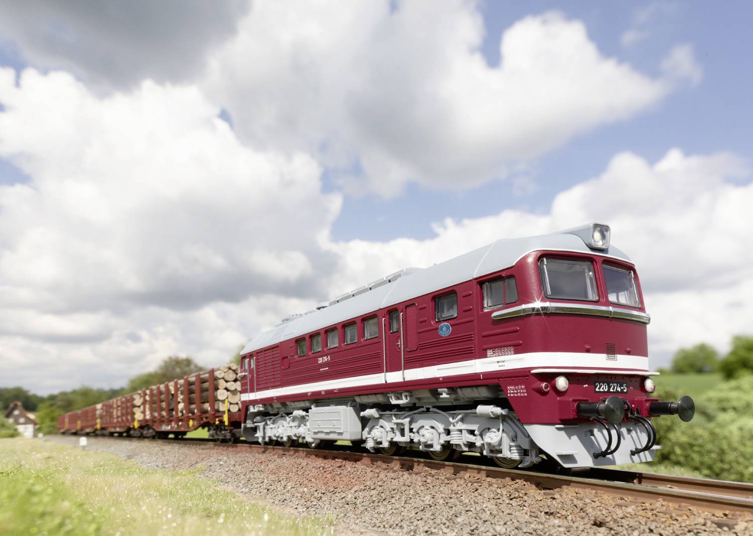 Un train de marchandises rouge roule sur des rails à travers un paysage verdoyant sous un ciel nuageux. Des piles de bois rustiques sont visibles.