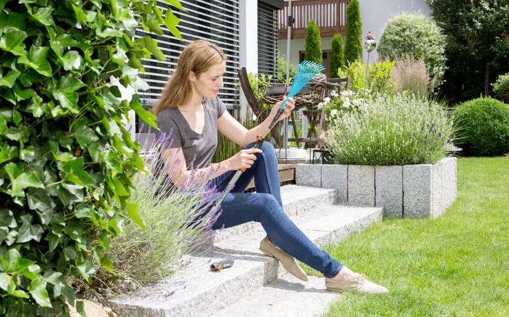 Une femme est assise sur des marches de jardin et taille de la lavande avec des cisailles de jardin. Elle est entourée de plantes vertes luxuriantes et d'une pelouse bien entretenue.