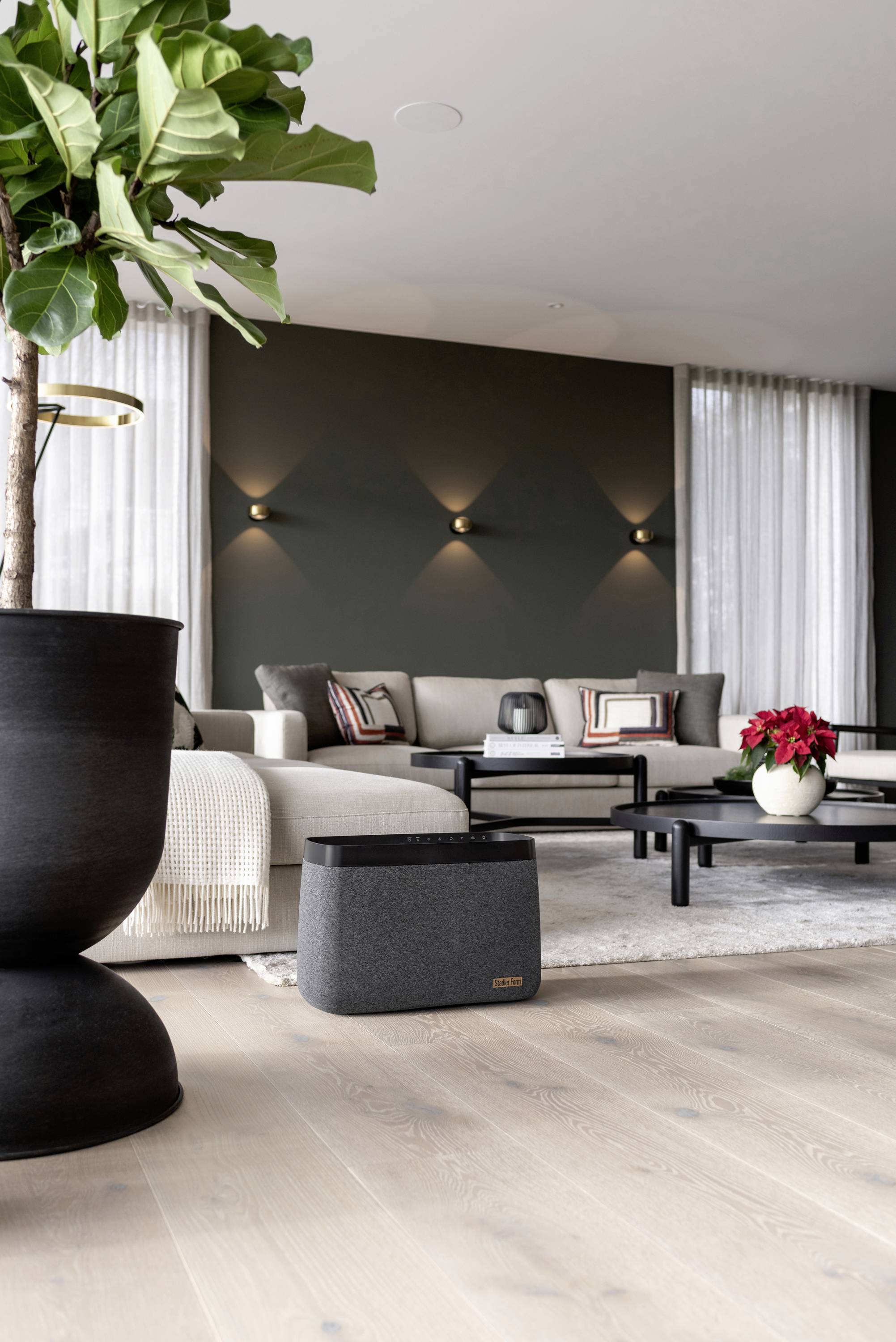 Un salon moderne avec un canapé gris, des tables noires et une décoration florale rouge. Des plantes au premier plan et un éclairage doux.