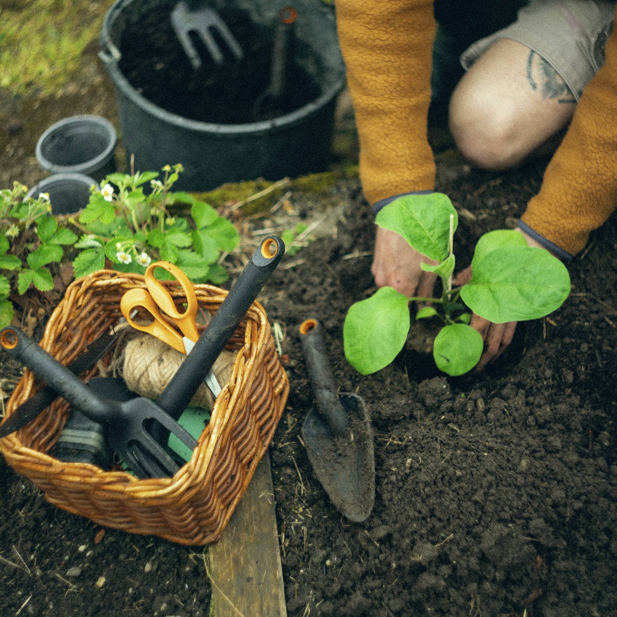 Fiskars 1071899 Transplantoir