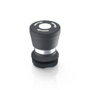 RAFI 1.30.276.001/2200 RAFIX 22 FS Bouton-poussoir coup de poing à accrochage (L x l x H) 29.8 x 29.8 x 42.1 mm 1 pc(s)