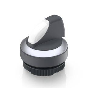 RAFI 1.30.272.202/2200 RAFIX 22 FS+ Bouton-poussoir lumineux à rappel 1 x 90 ° 1 pc(s)