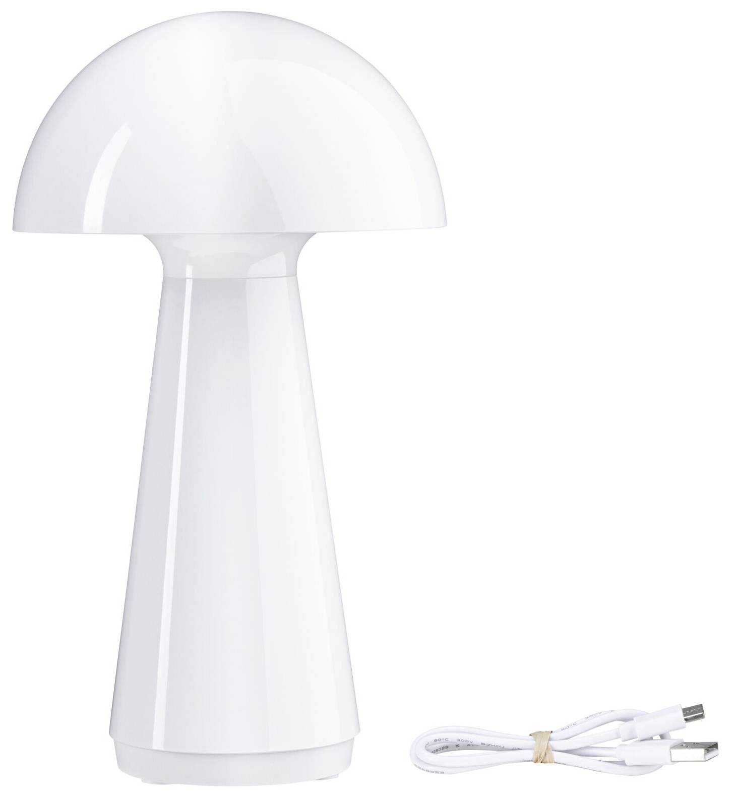 Paulmann 76995 Onzo Lampe de table à LED d'extérieur 2.6 W blanc chaud blanc