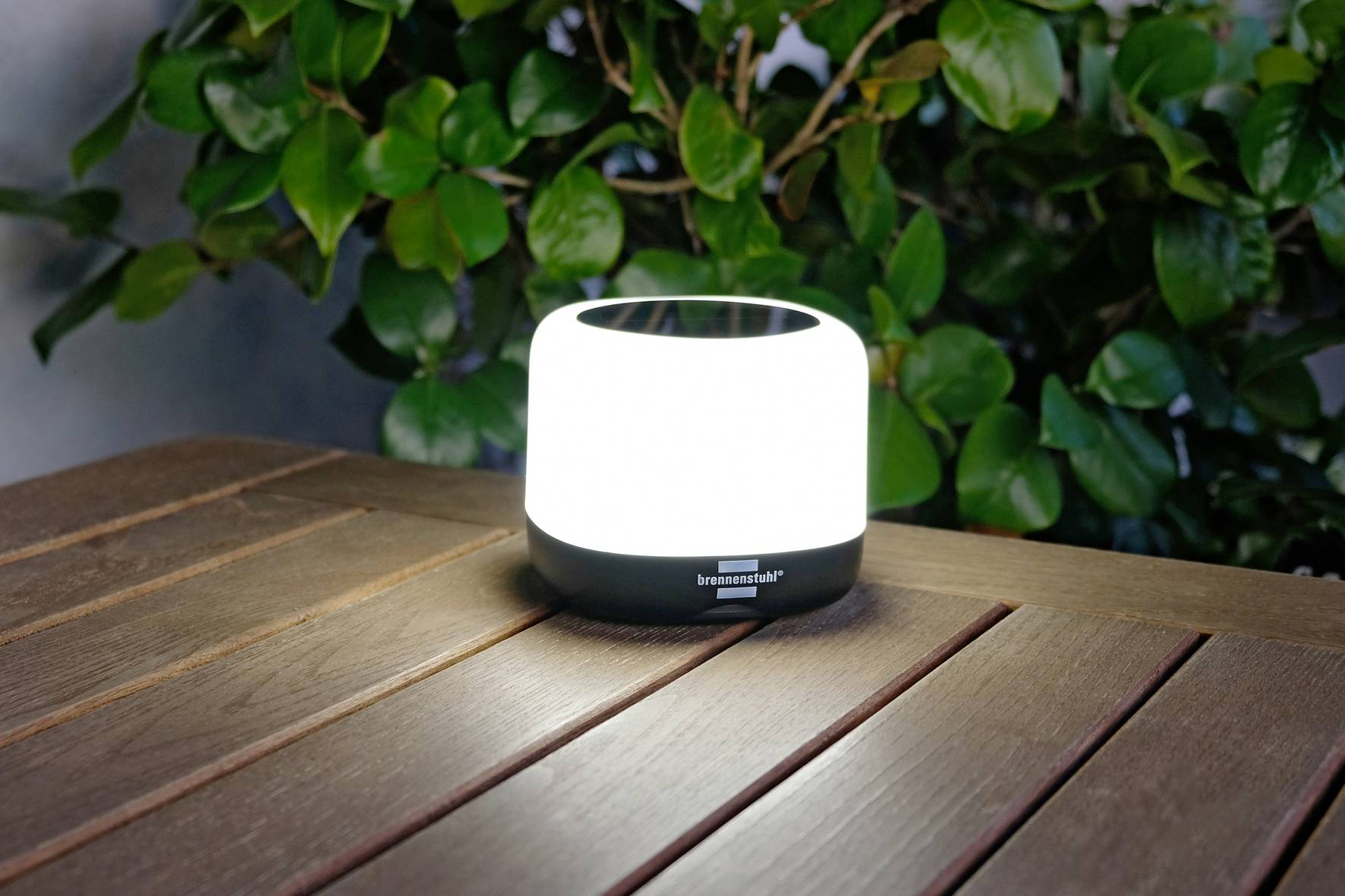 Une lampe ronde et lumineuse est posée sur une table en bois devant des feuilles vertes.