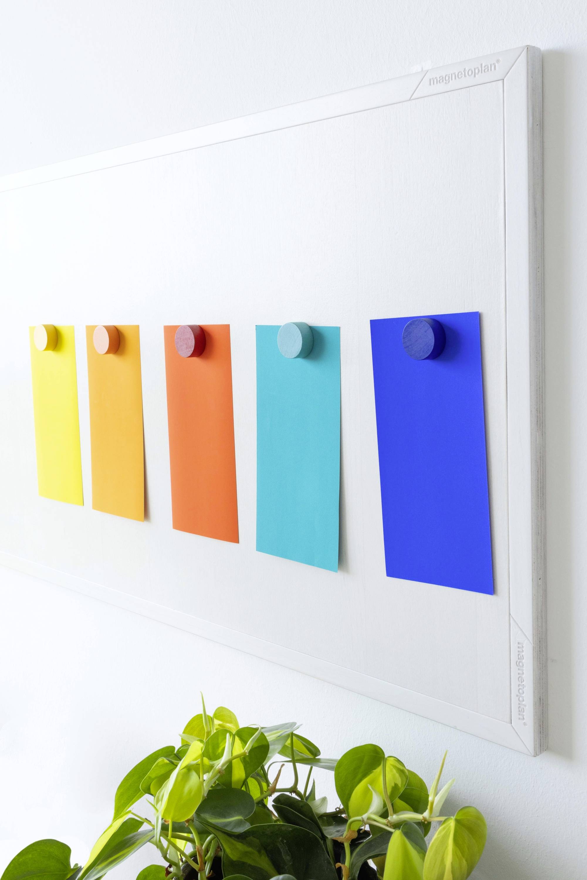 Cinq cartes colorées en jaune, orange, rouge, turquoise et bleu sont fixées avec des aimants sur un tableau blanc, avec des plantes vertes en dessous.