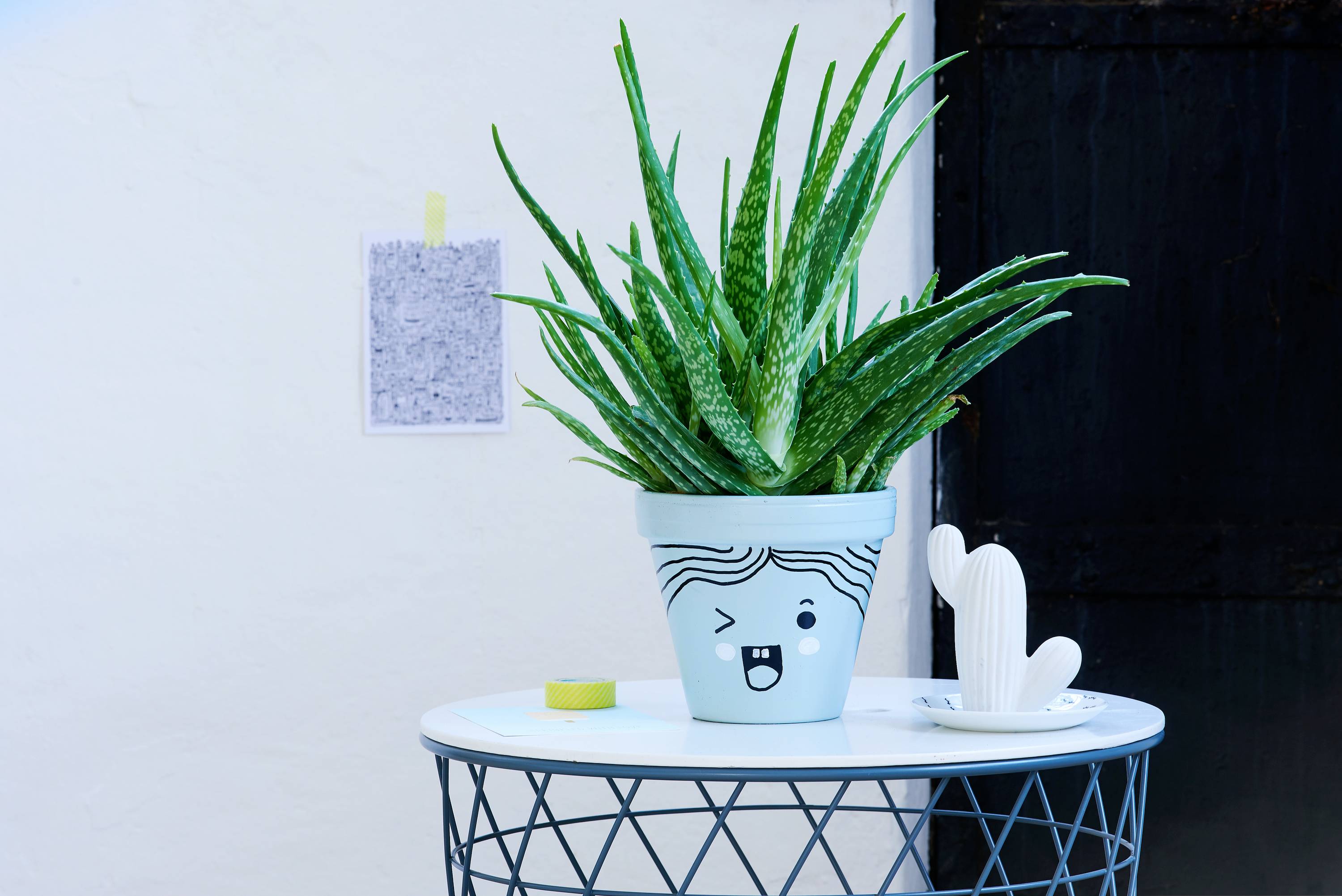 Une plante d'Aloe Vera dans un pot décoré de blanc sur une table ronde. À côté, un petit décor de cactus. Mur en arrière-plan.