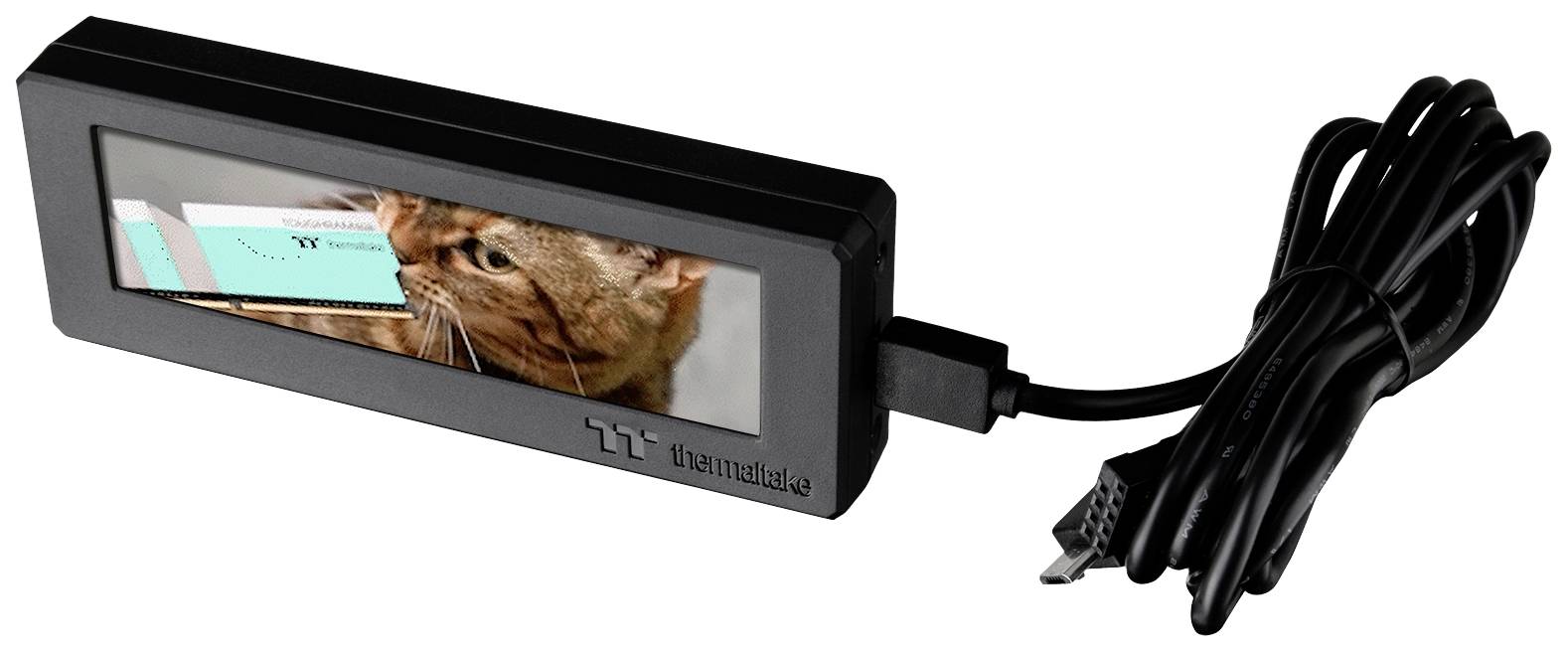 Un petit écran rectangulaire affiche l'image d'un chat. À côté, un câble USB. Adapté pour les écrans d'ordinateur.