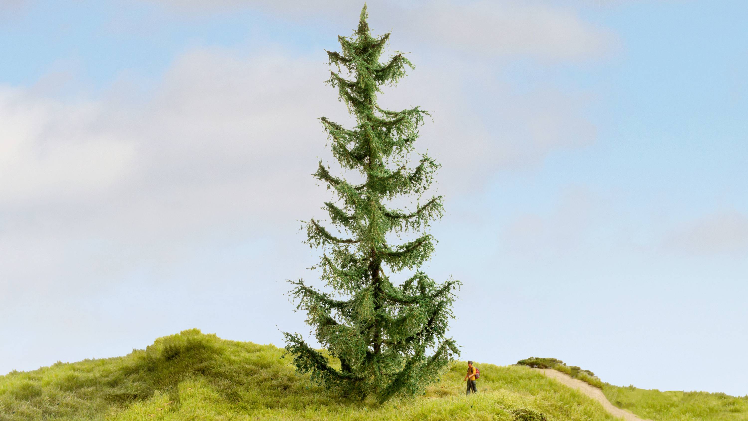 Un grand sapin solitaire se dresse sur une colline verte sous un ciel bleu. Un minuscule être humain se tient à côté de l'arbre, illustrant sa grandeur.