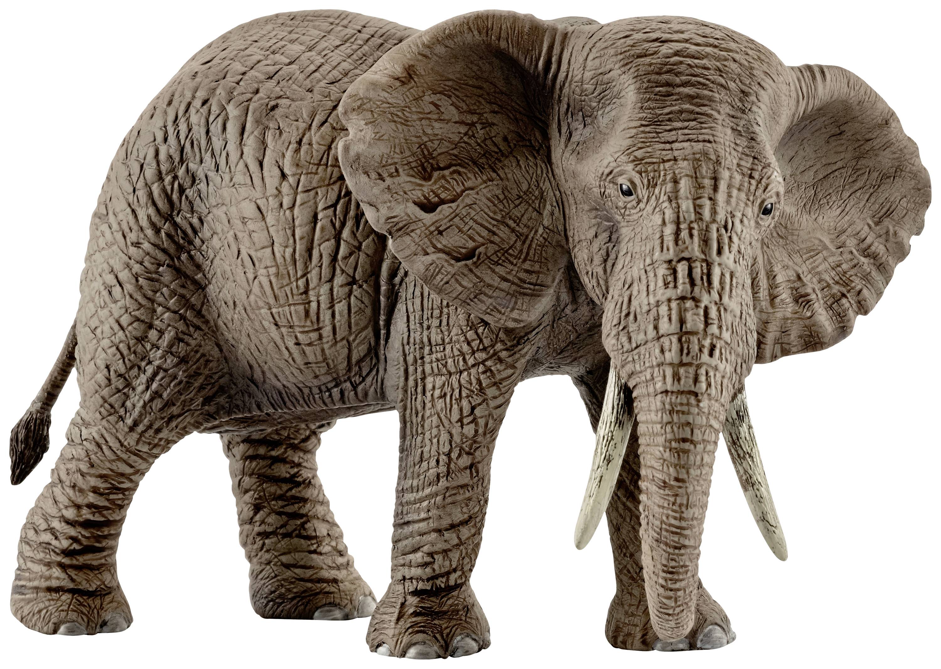 Schleich WildLife Afrikanische Elefantenkuh