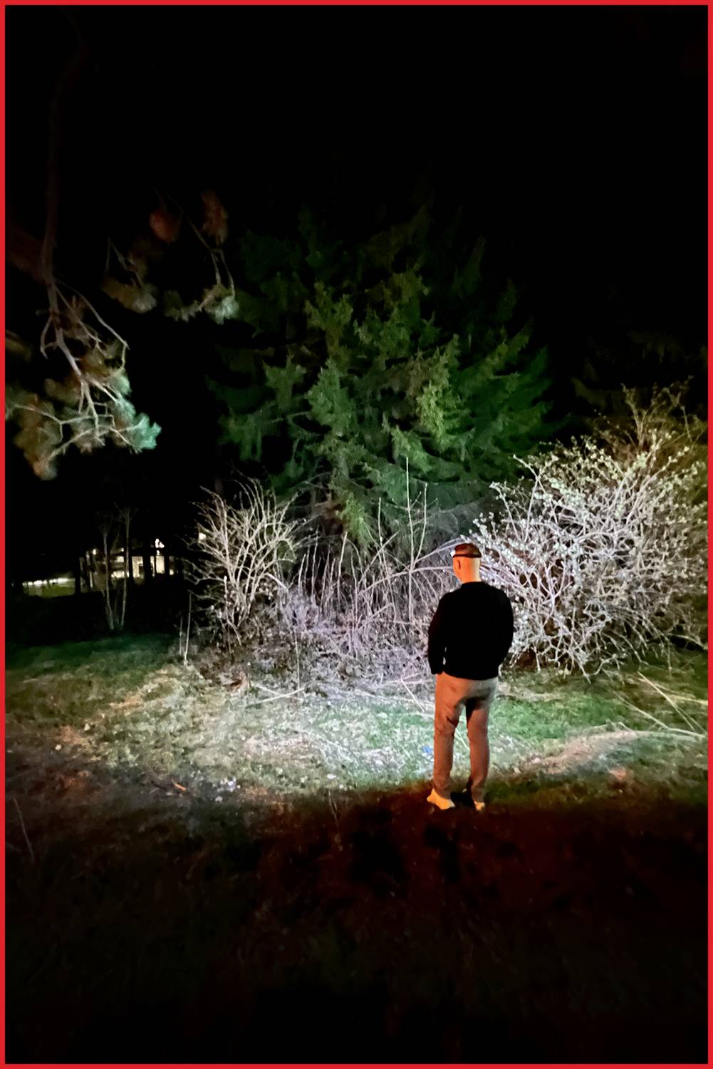 Une personne se tient dehors la nuit, éclairée par une lumière artificielle chaleureuse, avec une forêt dense en arrière-plan.