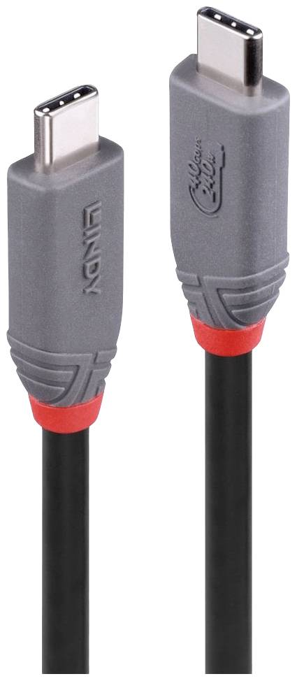 Câble USB-C avec fiches grises et accents rouges, servant à connecter des appareils électroniques pour le transfert de données et l'alimentation électrique.