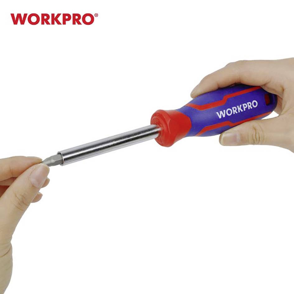 WorkPro universel Porte-embout magnétique 1/4"