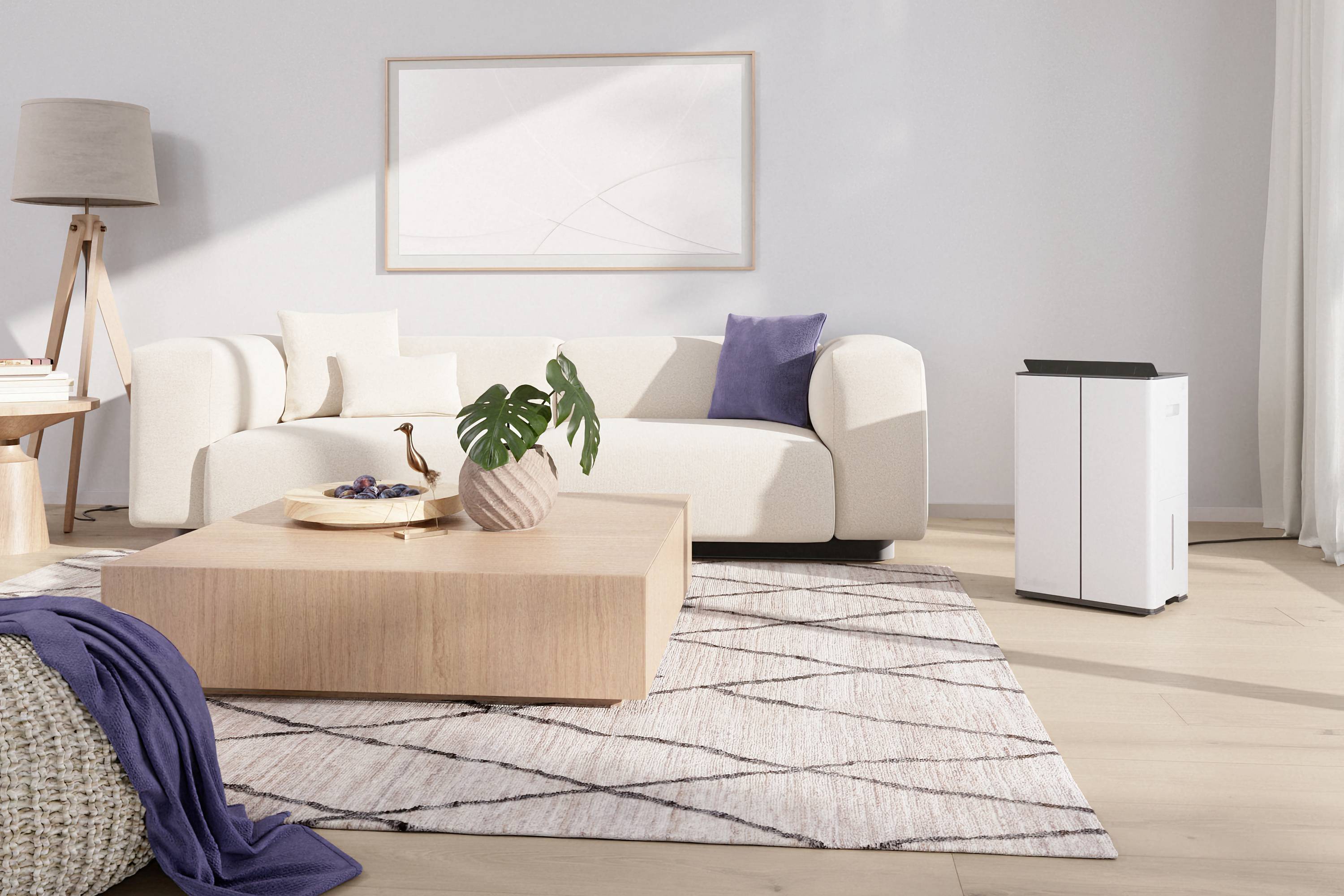 Déshumidificateur Stadler Form Lukas 70 m² 0.83 l/h blanc