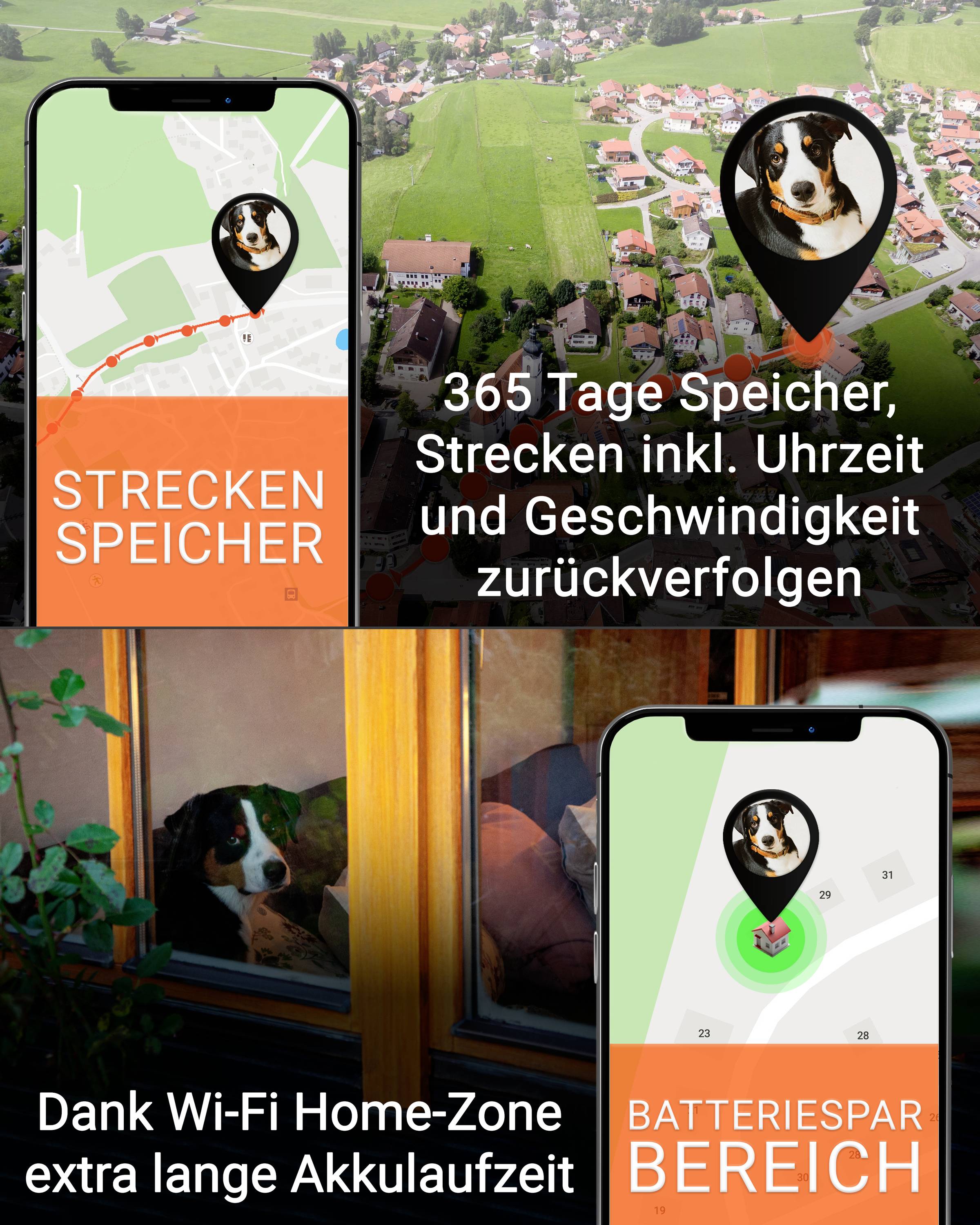 PAJ GPS PET Finder 4G Tracker GSM traceur d'animaux domestiques 1 pc(s)