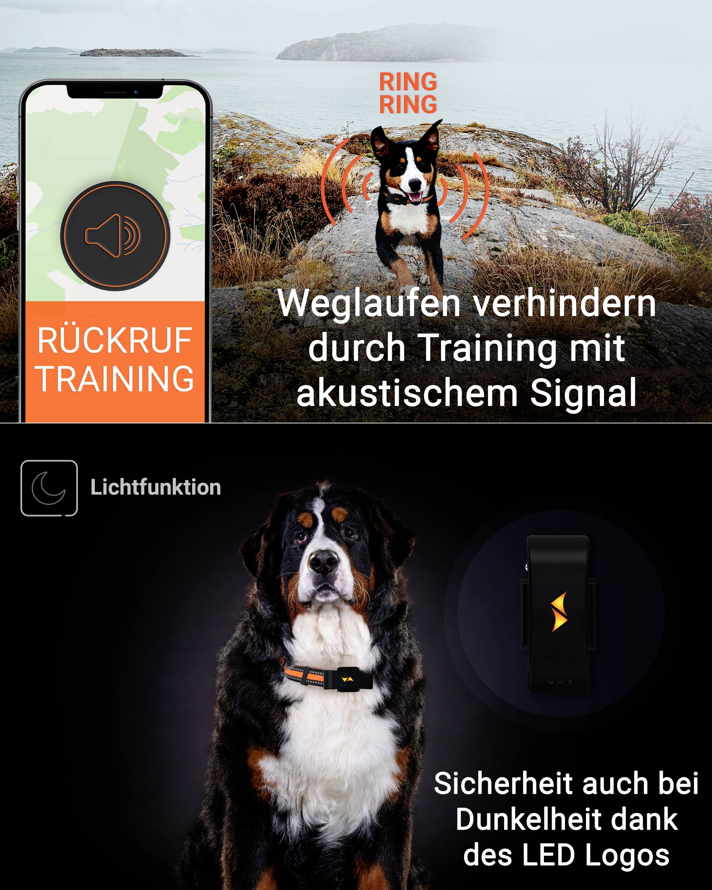 PAJ GPS PET Finder 4G Tracker GSM traceur d'animaux domestiques 1 pc(s)