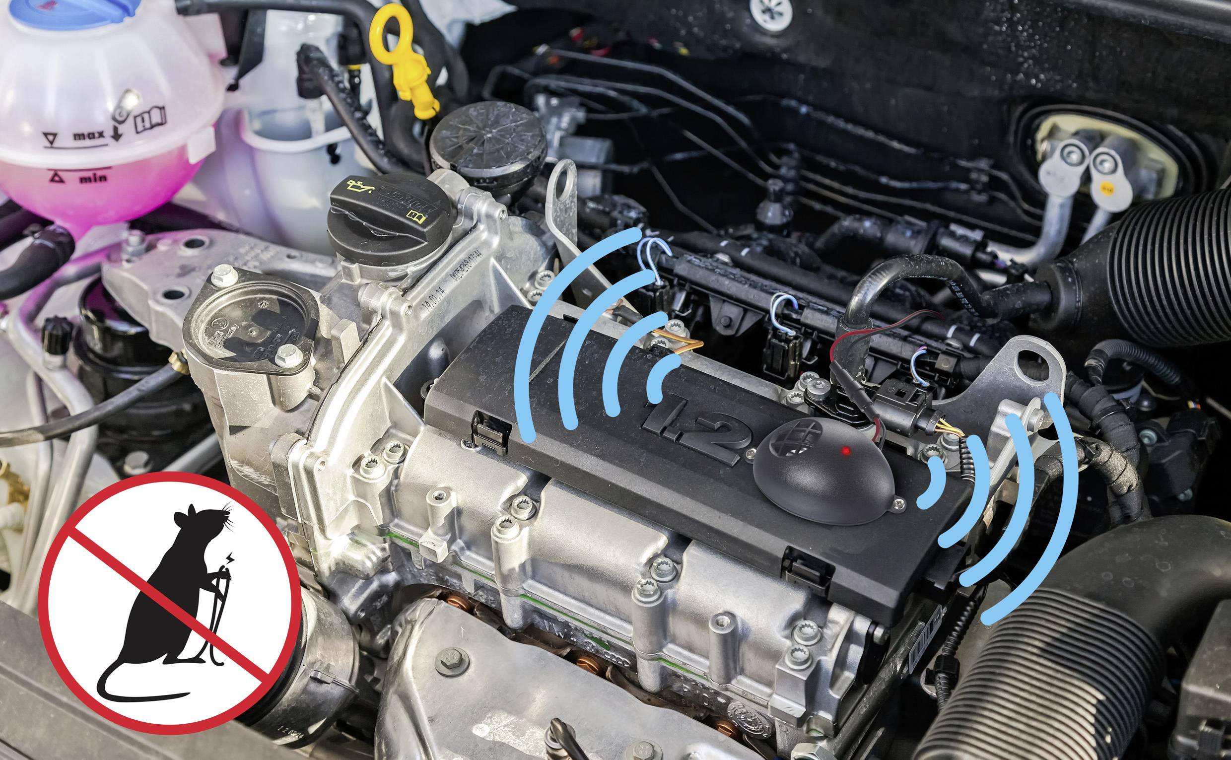 Un accessoire automobile est représenté dans le compartiment moteur d'un véhicule. Un symbole anti-fouine est visible en bas à gauche.