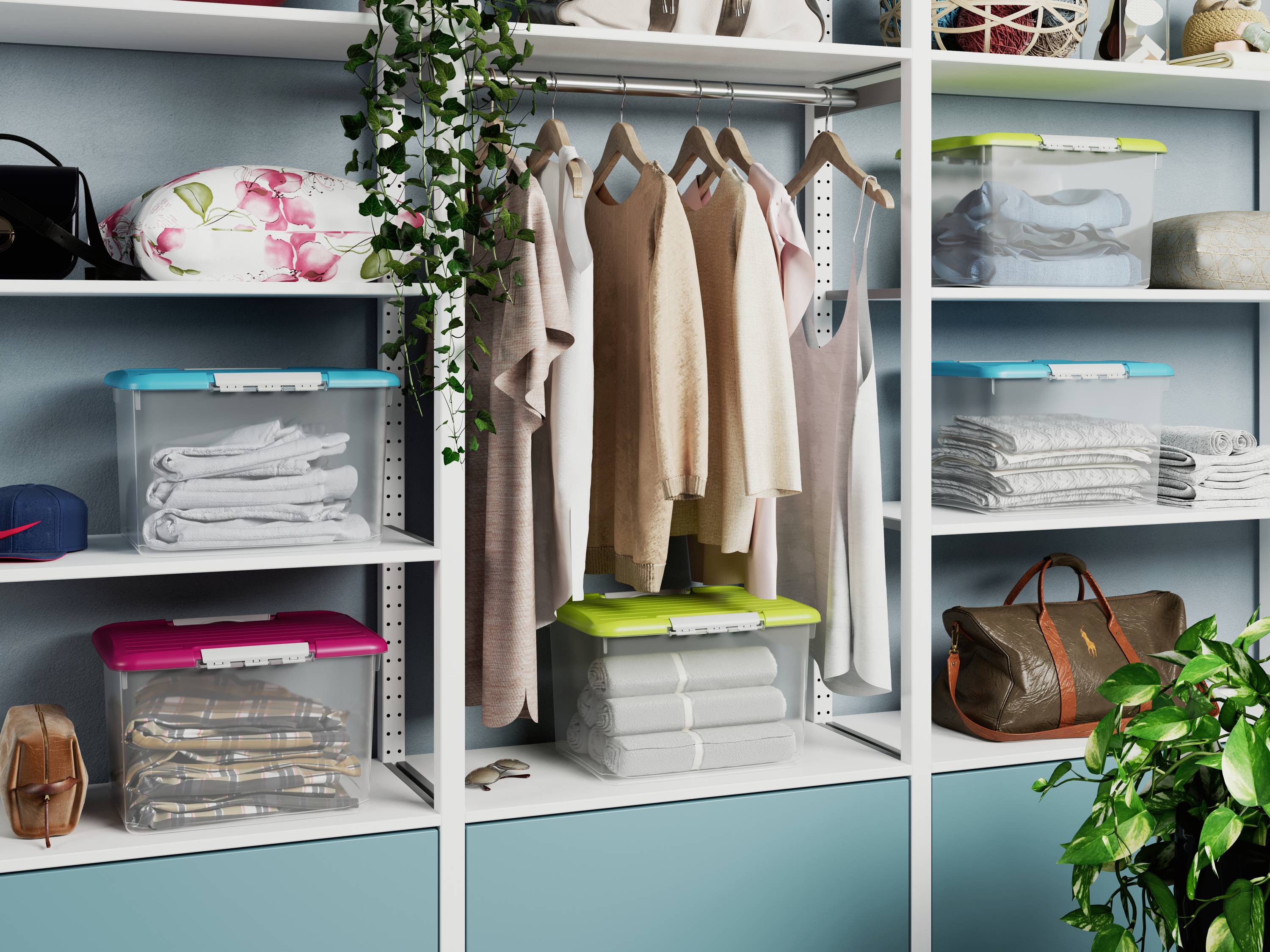 Curver 259568 Boîte de rangement Optima Classic 75 Jahre-Edition lilas (métallisé) 1 pc(s)