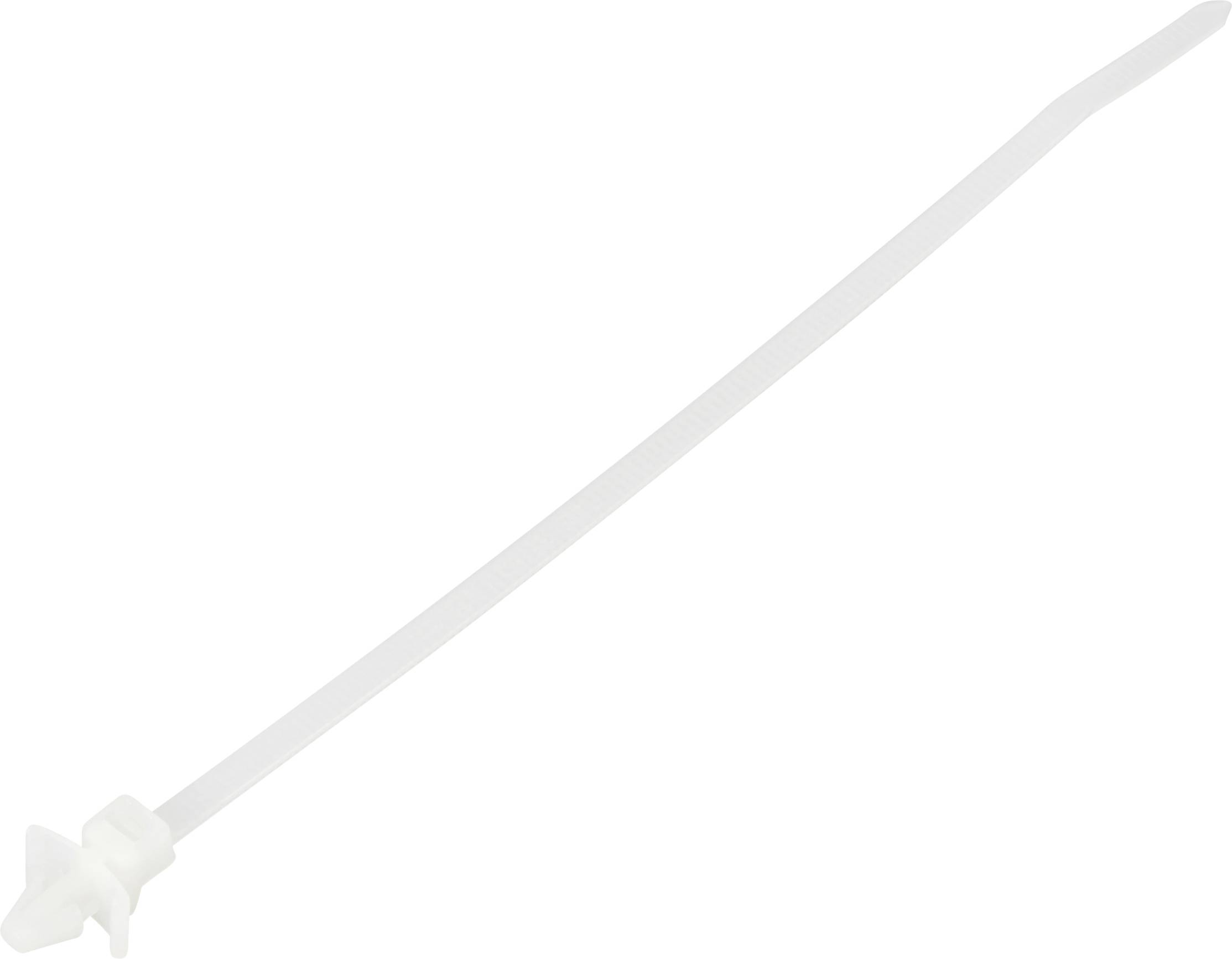 Un collier de serrage blanc en plastique, dont une extrémité est façonnée pour être passée à travers un mécanisme de verrouillage afin de maintenir des objets en place.