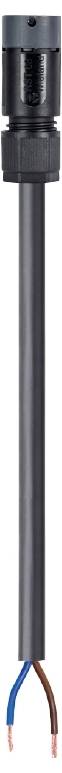 Wieland Electric 41.427.2538.4 Câble de raccordement noir