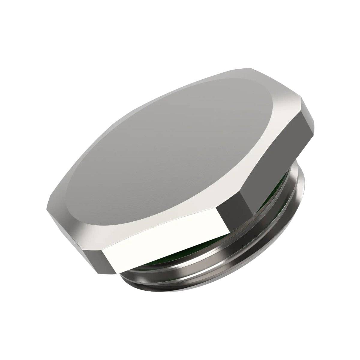 LAPP SKINDICHT® BL-M HEX. 63X1,5 +FKM O-RING Bouchon d'obturation 10 pc(s)