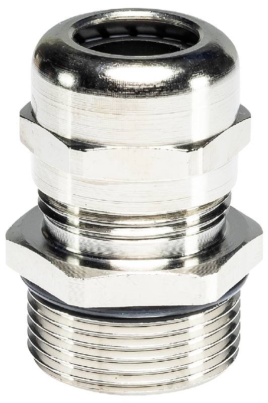 Wieland Electric Z5.503.4621.0 Presse-étoupe métal 50 pc(s)