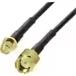 Câble de raccordement BKL Electronic antenne WiFi 3 m noir Câble de raccordement BKL Electronic antenne WiFi 3 m noir