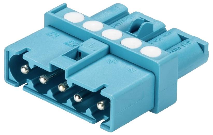 Wieland Electric 91.050.6053.0 Répartiteur