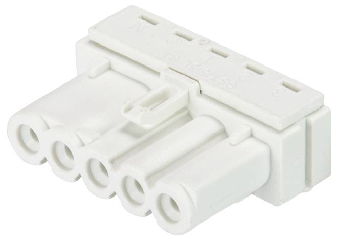 Barrette multiprises blanche en plastique avec cinq emplacements, adaptée aux connexions électriques.