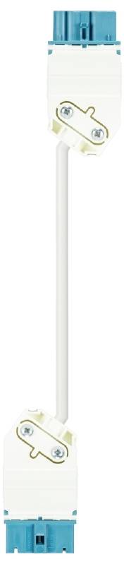 Wieland Electric 91.257.6000.9 Cordon blanc
