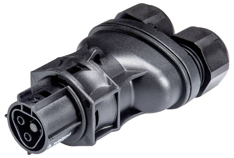 Wieland Electric 96.021.0353.1 Connecteur