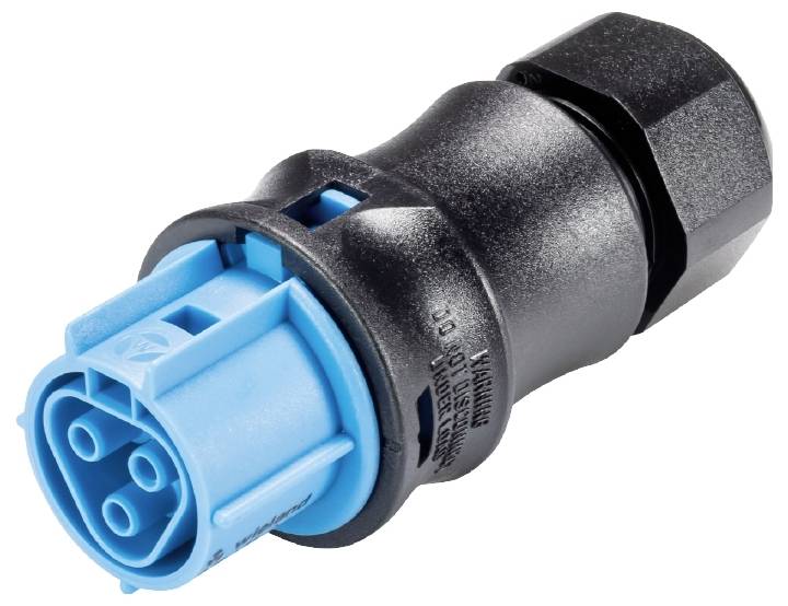 Wieland Electric 96.031.0053.9 Connecteur