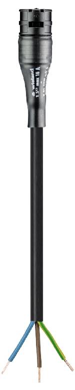 Wieland Electric 96.232.2053.1 Câble de raccordement noir