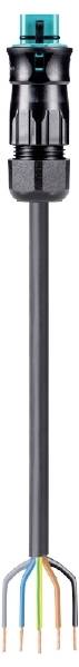 Un câble noir avec plusieurs fils de couleurs à l'extrémité inférieure et un connecteur bleu en haut. Composant de connexion électrique.