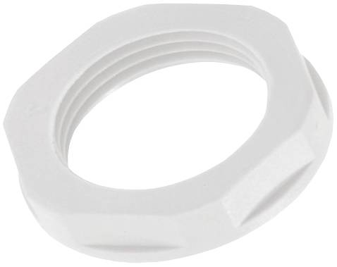 LAPP 53019330 SKINTOP® GMP-GL NPT 1'' RAL 7035 LGY o.B. Contre-écrou 100 pc(s)
