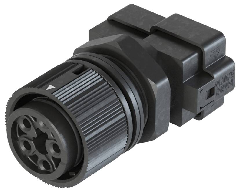 Wieland Electric 46.051.M0L1.1 Branchement d'appareil