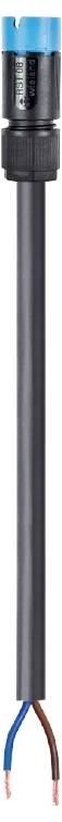 Un long câble électrique noir avec des fils bleu et marron à une extrémité, adapté pour l'éclairage intérieur.