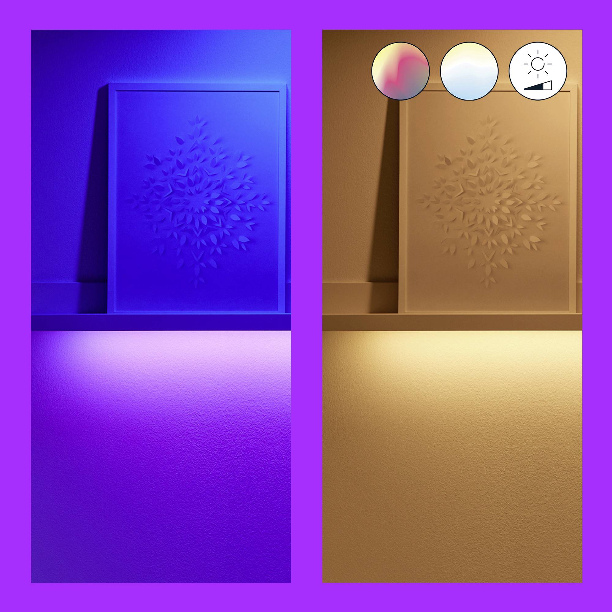 WiZ 8720169071216 Ruban LED (Set complet) 24 V 4000 mm RVBB 4 m