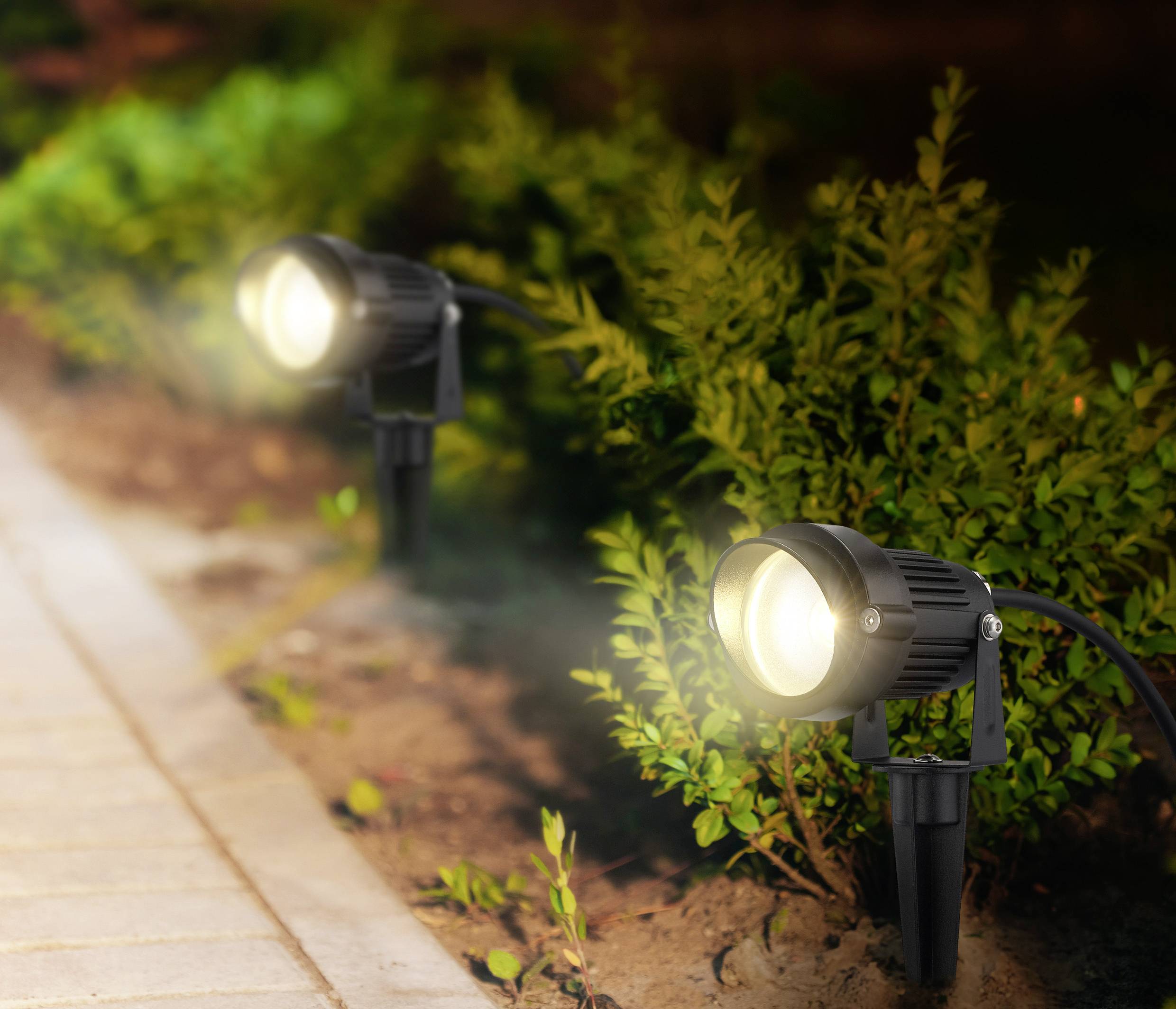 Deux projecteurs de jardin illuminent une rangée d'arbustes le long d'un chemin, créant une lueur ambiante chaleureuse sur la végétation nocturne.