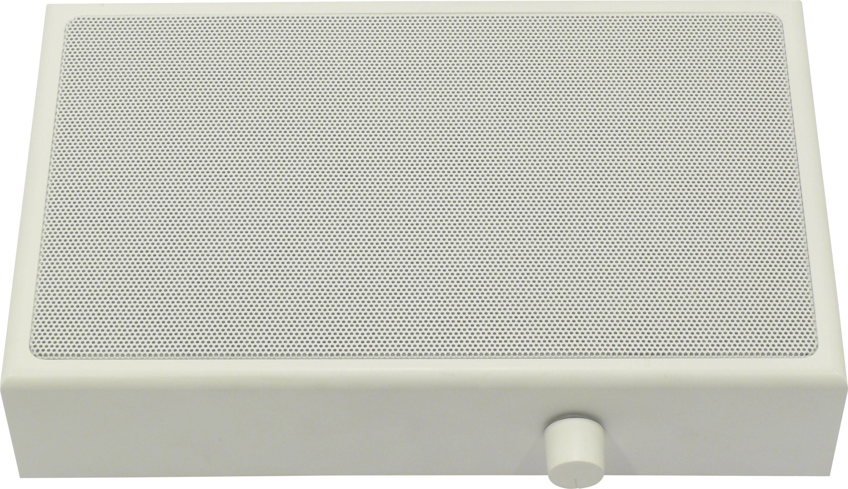 Visaton WL 13 PR - 100 V Enceinte murale blanc 1 pc(s)
