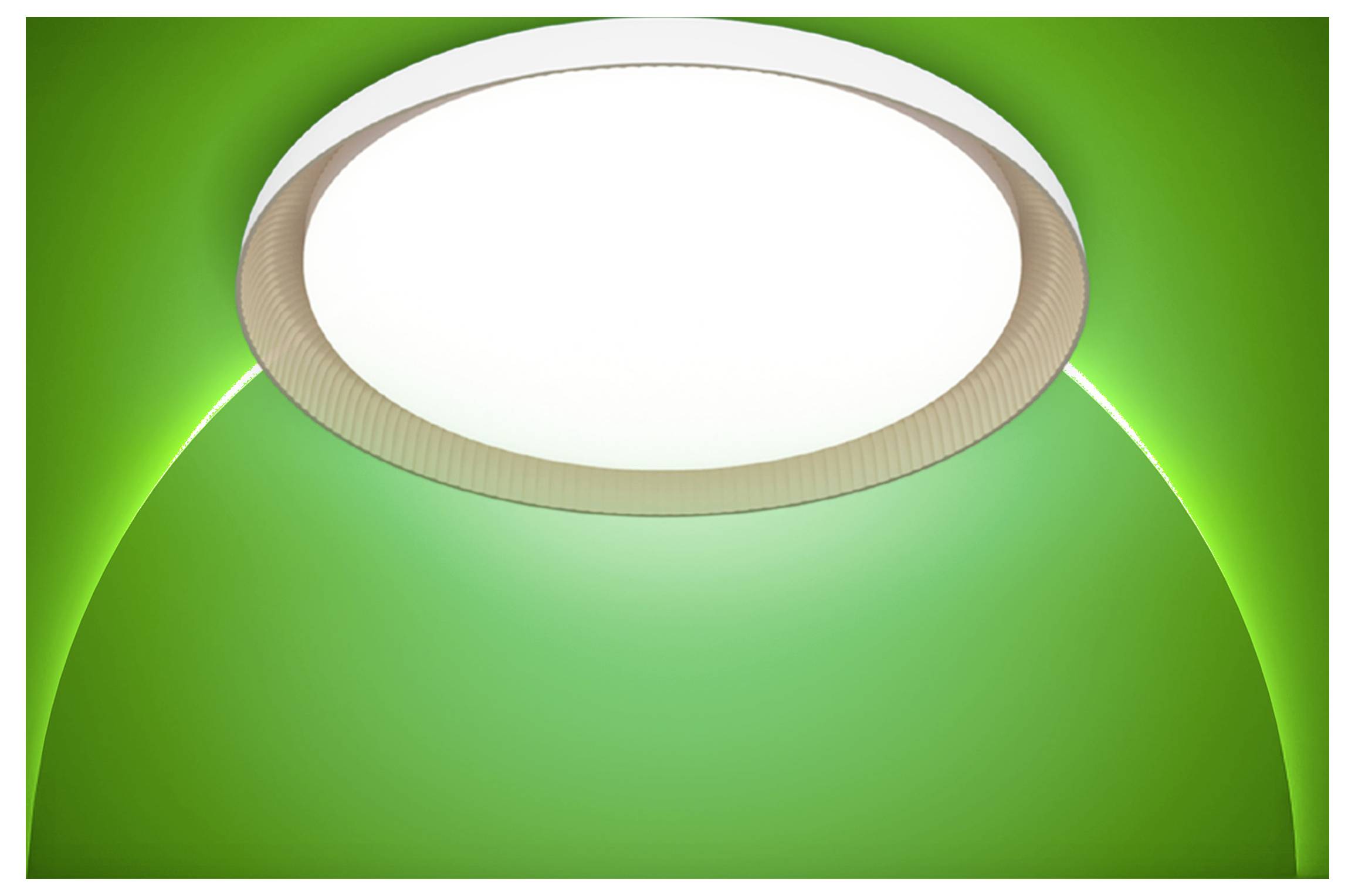 Graphique vert avec une grande zone d'étiquette ovale blanche vierge centrée près du haut.